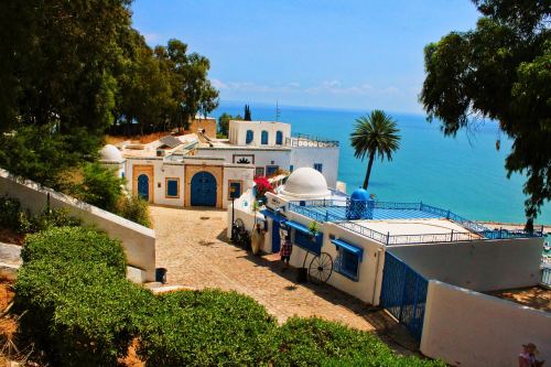  2025 - 8  ALL INCLUSIVE      -     